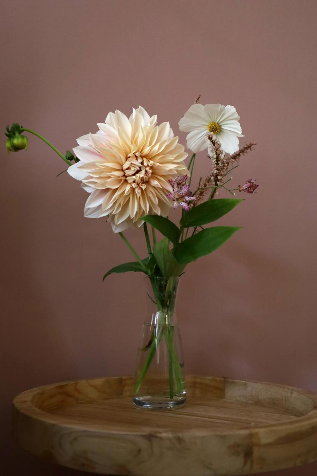 Bij Joseph Bed & Breakfast 's-Hertogenbosch  Luaran gambar